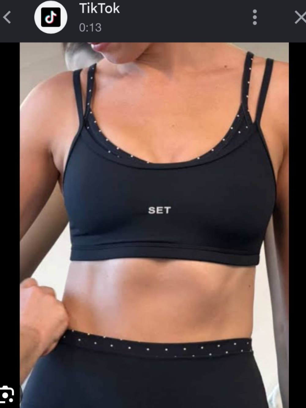 SETACTIVE Dalmatian Set
